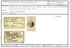 Karteikarte zum Holotyp von Cristellaria falcata Karrer, 1878